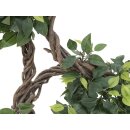 EUROPALMS Ficus Multi Spiralstamm, Kunstpflanze, 160cm