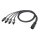 SOMMER CABLE Sommer cable Speaker System , Speakon 4-polig/LK 8-pol male; NEUTRIK/HICON 04/00 | 2,50m