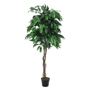 EUROPALMS Dschungelbaum Mango, Kunstpflanze, 180cm