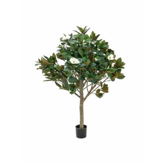 EUROPALMS Magnolienbaum, Kunstpflanze, 150cm