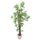 EUROPALMS Bambus Dunkelstamm, Kunstpflanze 210cm