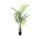 EUROPALMS GroÃŸblatt-Areca, Kunstpflanze, 125cm