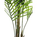 EUROPALMS GroÃŸblatt-Areca, Kunstpflanze, 165cm