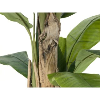 EUROPALMS Bananenbaum, Kunstpflanze, 170cm