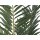 EUROPALMS PhÃ¶nix Palme, Kunstpflanze, 240cm