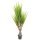 EUROPALMS SÃ¤belzahn-Agave, Kunstpflanze, 185cm
