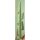 EUROPALMS Mexikanischer Kaktus, naturweiÃŸ, kÃ¼nstlich,   210cm