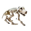 EUROPALMS Halloween Hundeskelett, 71x40x25cm