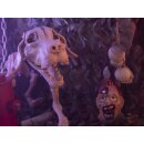 EUROPALMS Halloween Hundeskelett, 71x40x25cm